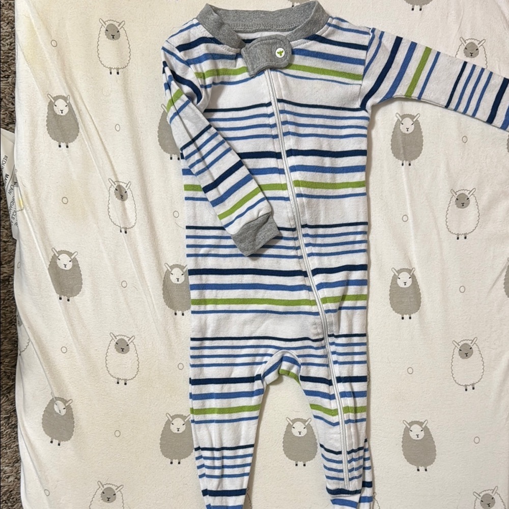 Burt's Bees Baby Blue and Green Striped Footie